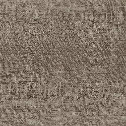 Driftwood 360